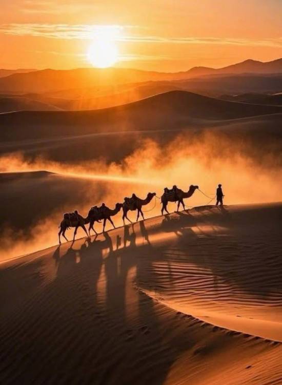 sahara-desert-escursioni-anima-creativa-retreat